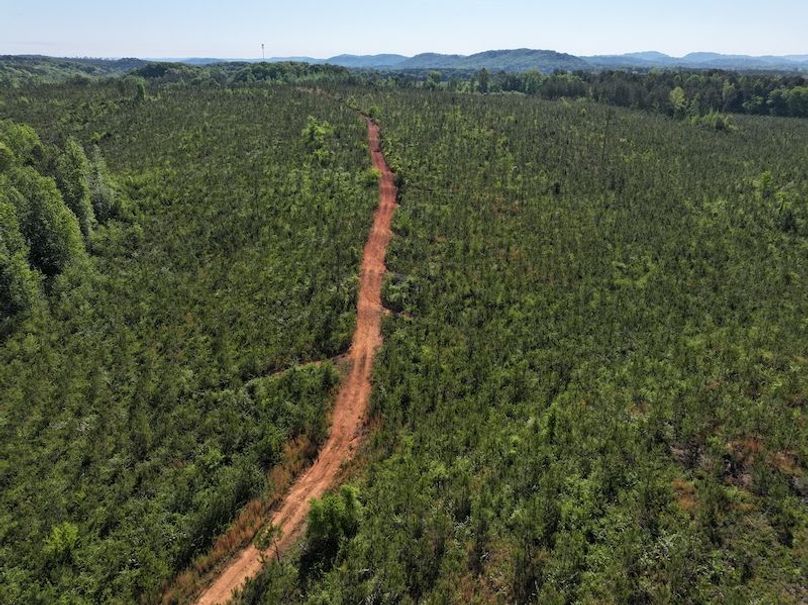 DJI_20260421100840_0656_D
