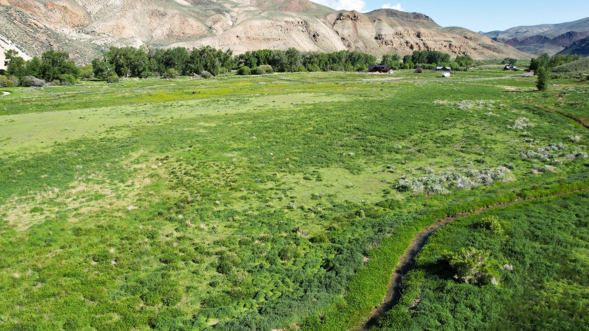 East Fork Of The Salmon River Property Whitetail Properties