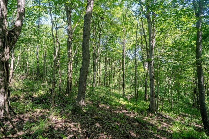 Listing 6-49