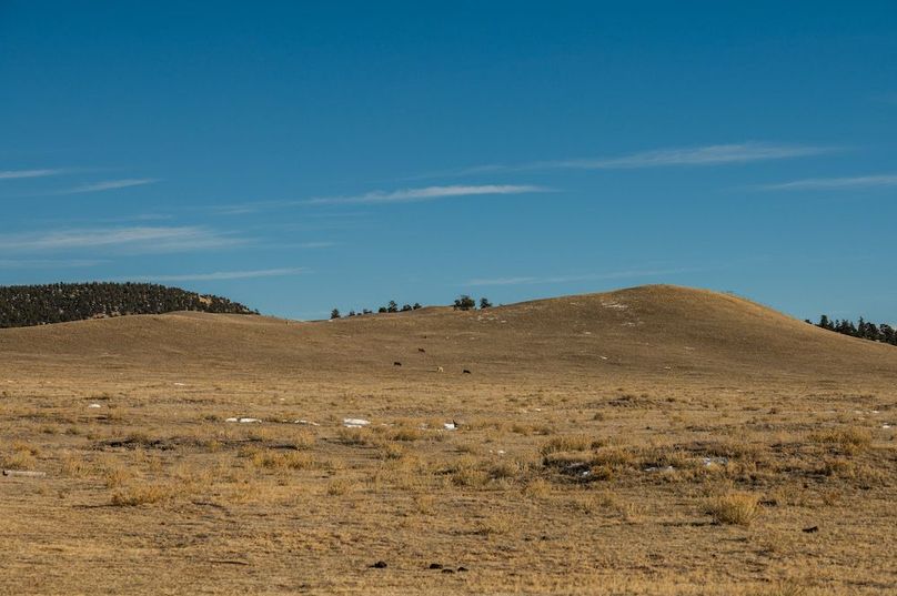 Park Co 162.85 Ladeira - 033 - SE Hillside