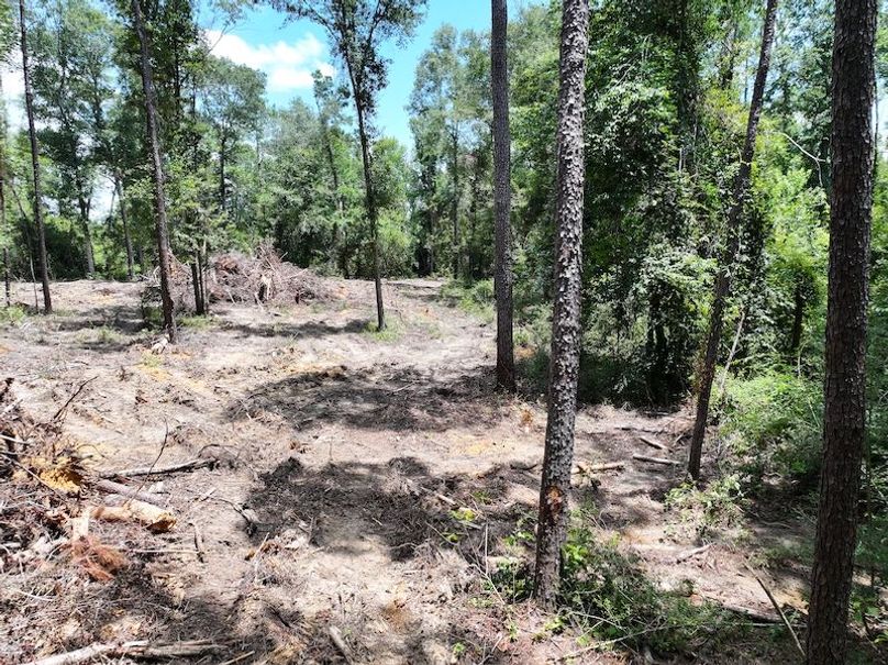 dji_fly_20250708_125548_0239_1752089872172_burst