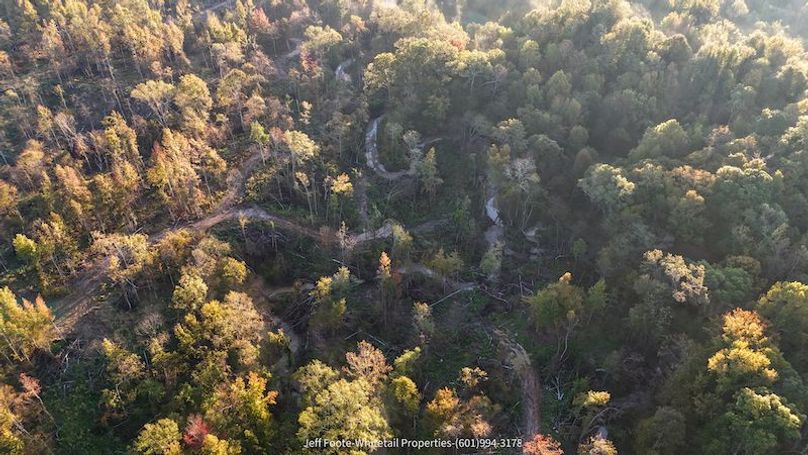 Claiborne Co-151-Geronimo-17