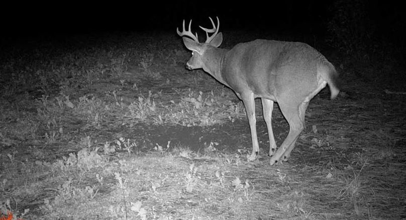 23101919544201000191 (1)