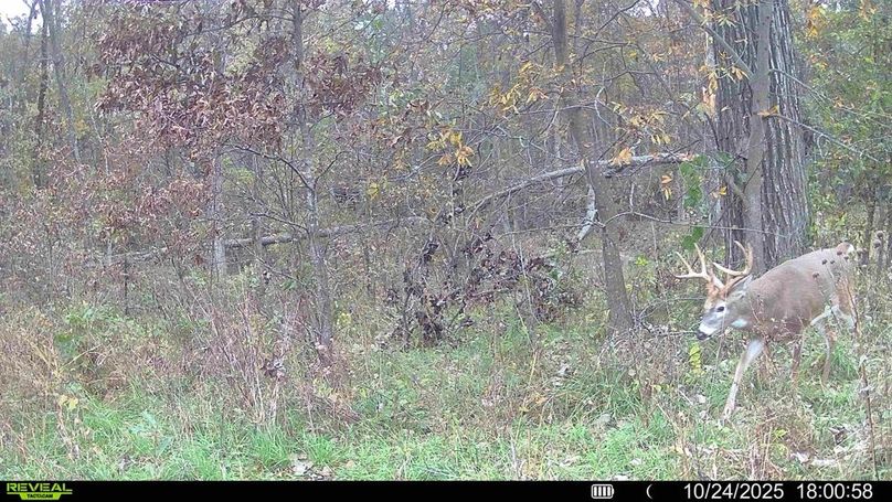 016578000207826-100-3-10242025180255-HD-SYFW02370