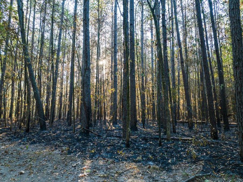 Clay 302.7 Henderson-40