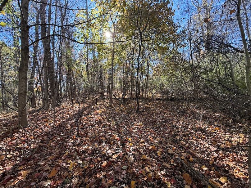 Wayne_18.11_Koehler Photo 17