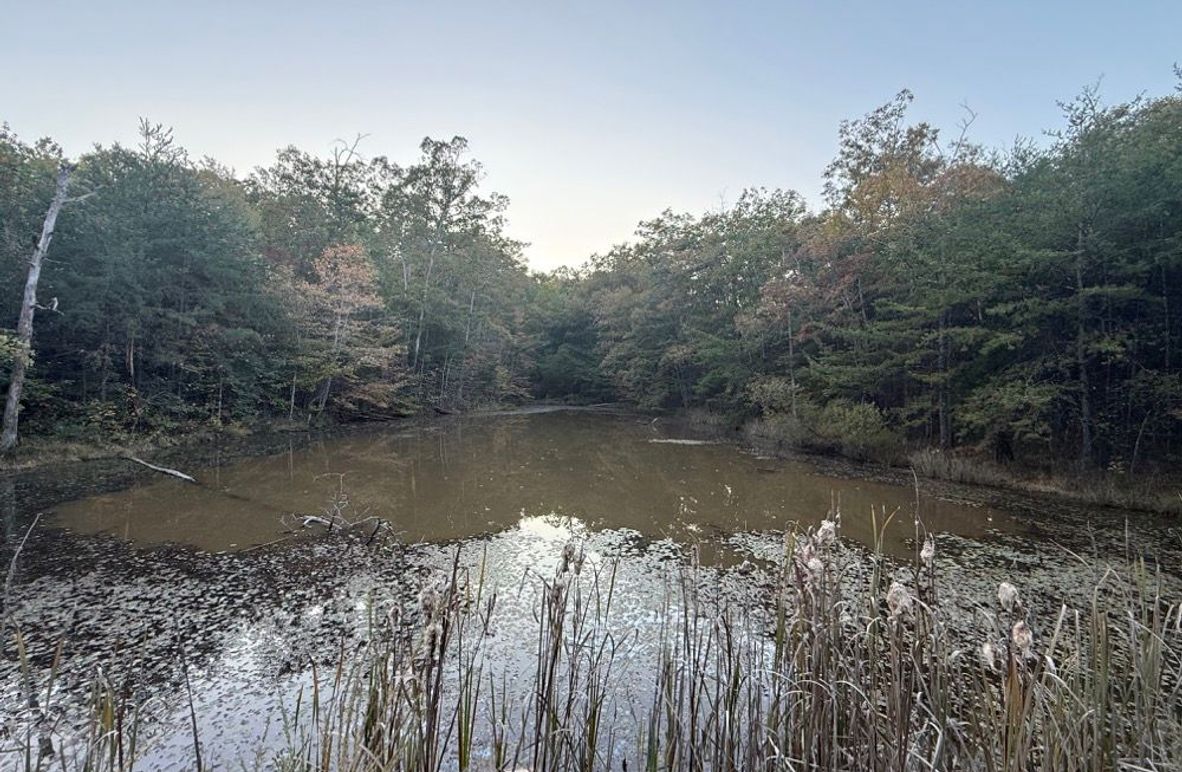 004 the fish pond just below the recently graded building lot