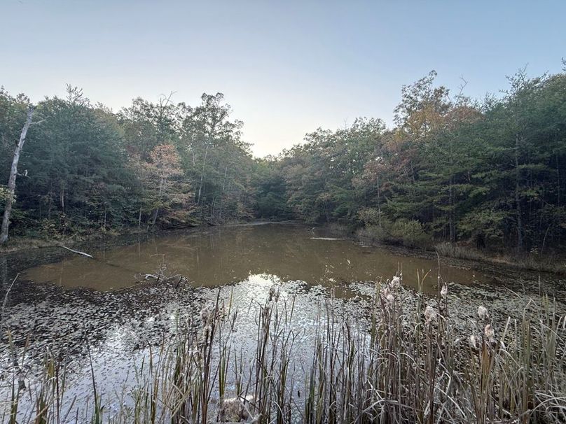 004 the fish pond just below the recently graded building lot