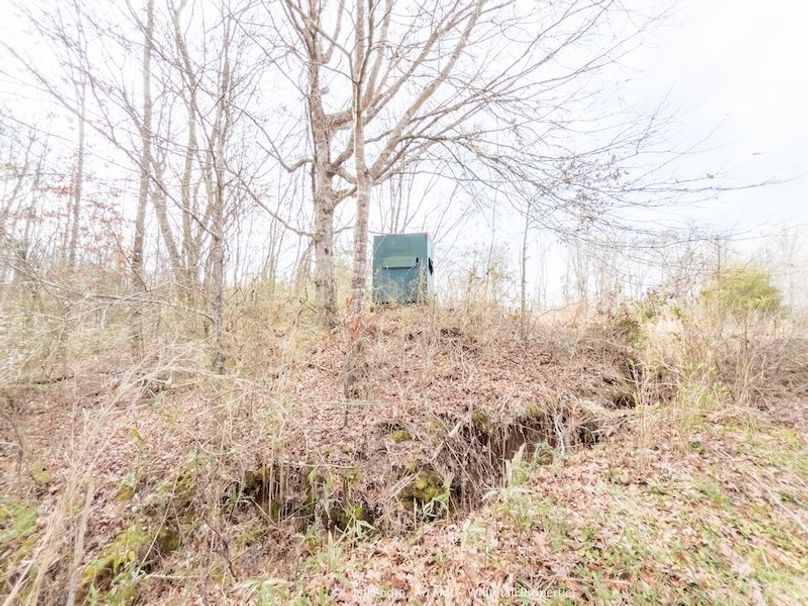 Holmes County - 108 - Rodriguez-71