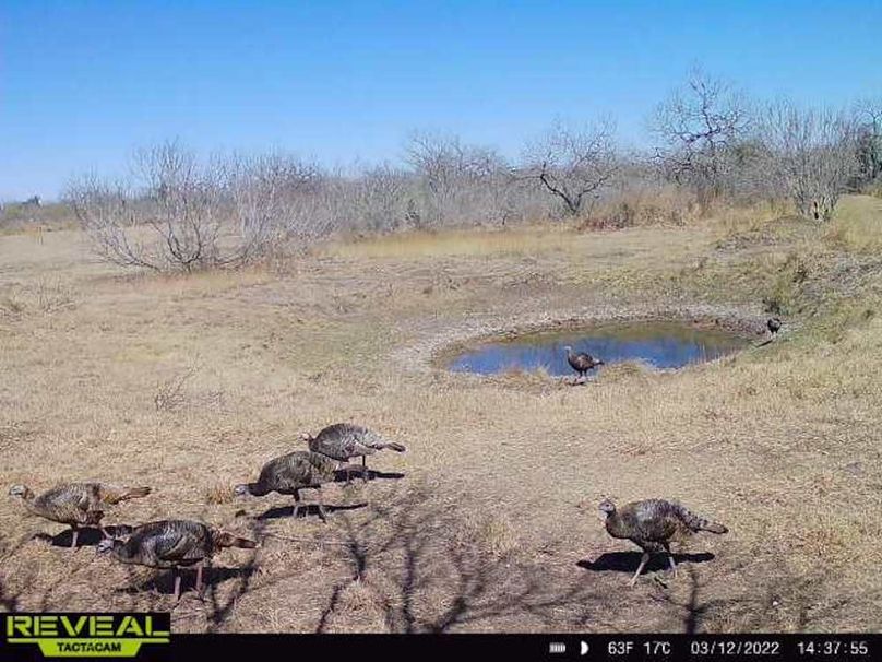 S865814042113447-100-4-03122022143754-W1013537