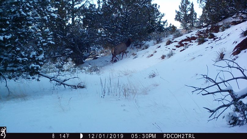 Copy of IMG_0056 (2)