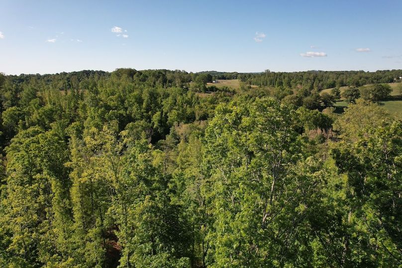 DJI_0505