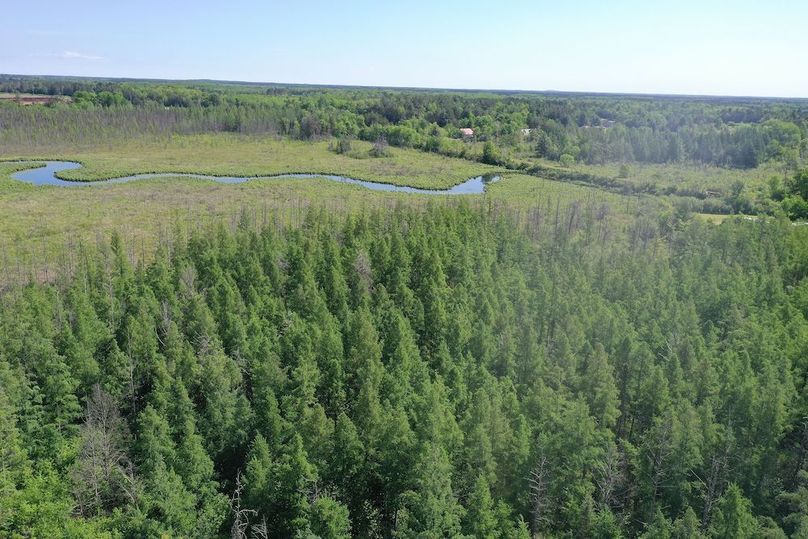 org_e9f15cf87e6c026e_1717337056000