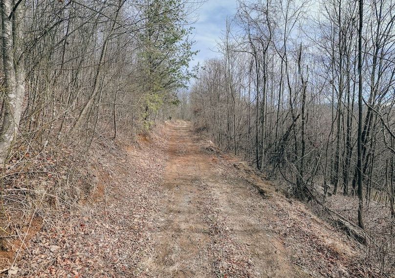 DJI_20260217122106_0127_D