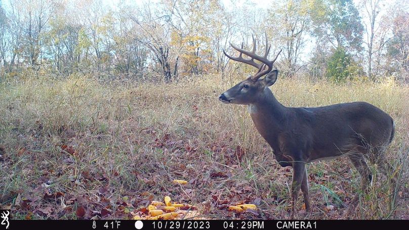 trail cam13