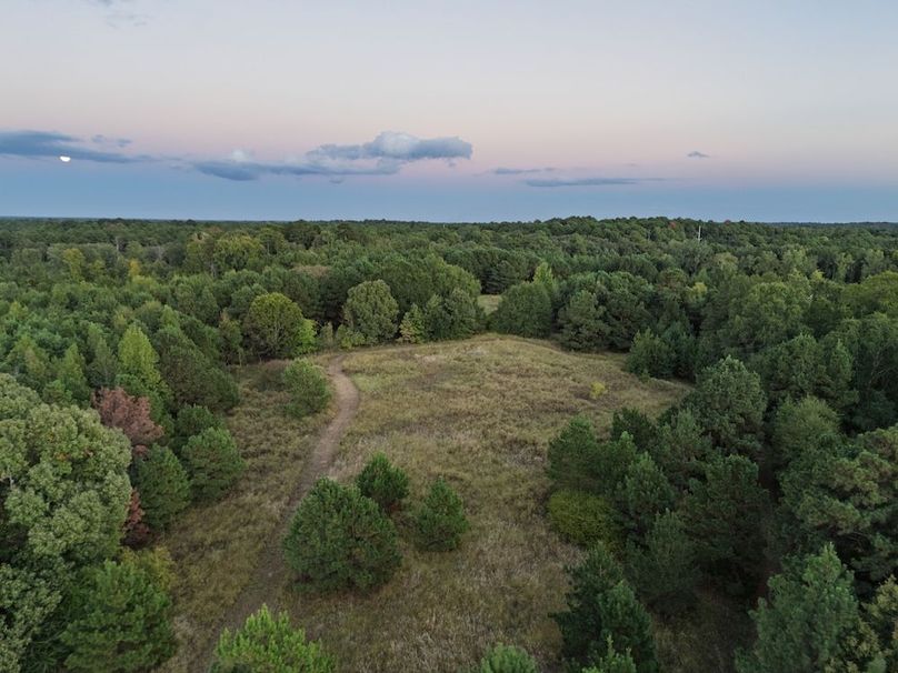 30 Edited Harison co. 206 - Ed Robb-062