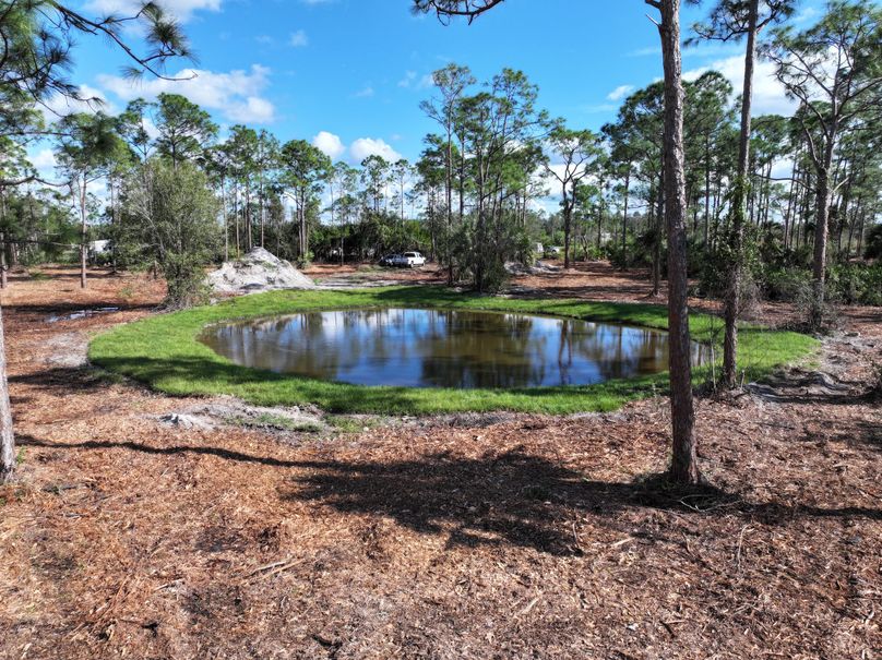 dji_fly_20231118_141132_0290_1700356594073_photo