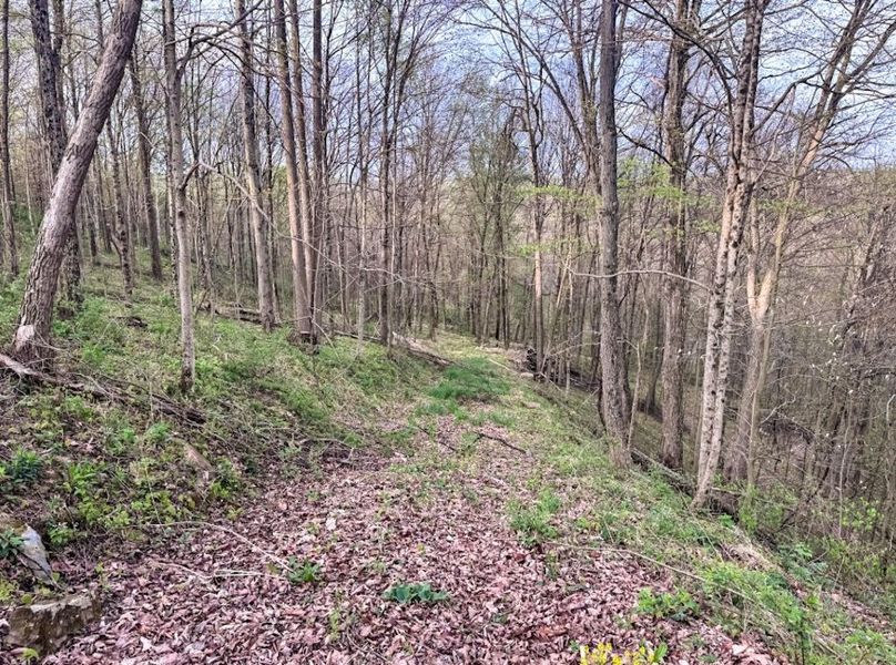 Screenshot 2026-04-21 at 11.35.27 AM