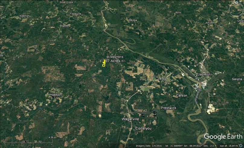 Aerial #6 Approx. 37 Acres Washington County, AL