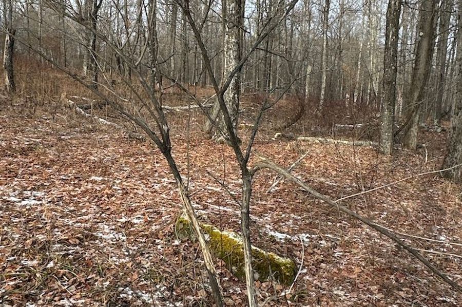 P21
