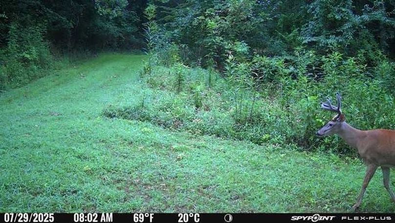 Morgan 111 Trail Cam 5
