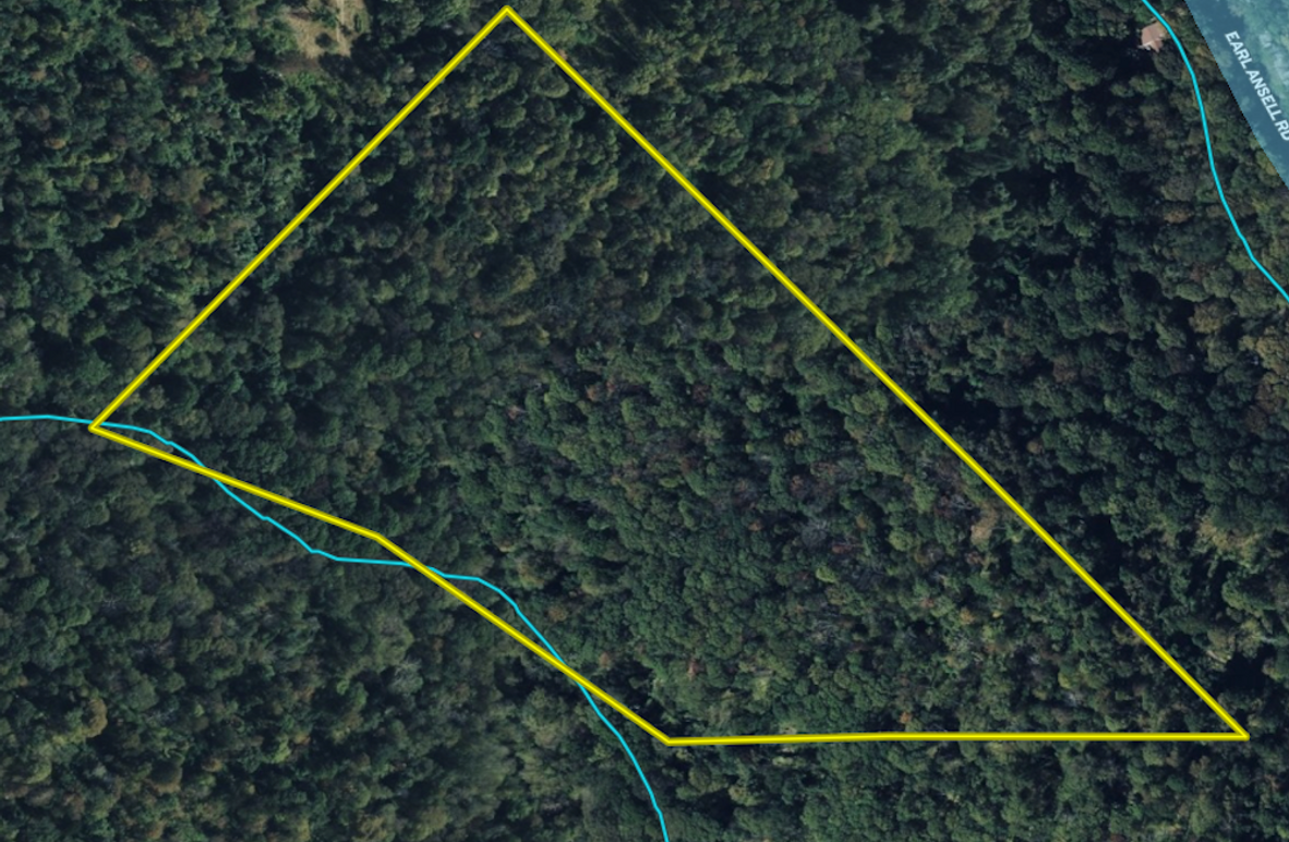 Screenshot 2026-03-04 at 9.50.32 AM