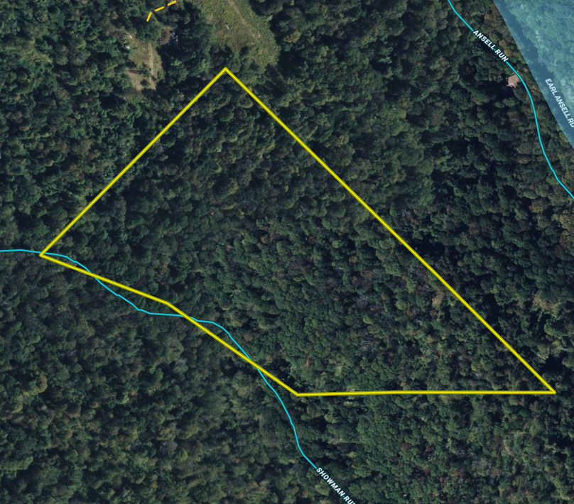 Screenshot 2026-03-04 at 9.50.32 AM