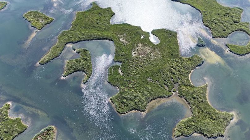 17.17ac, Citrus, Josiah Ronco18