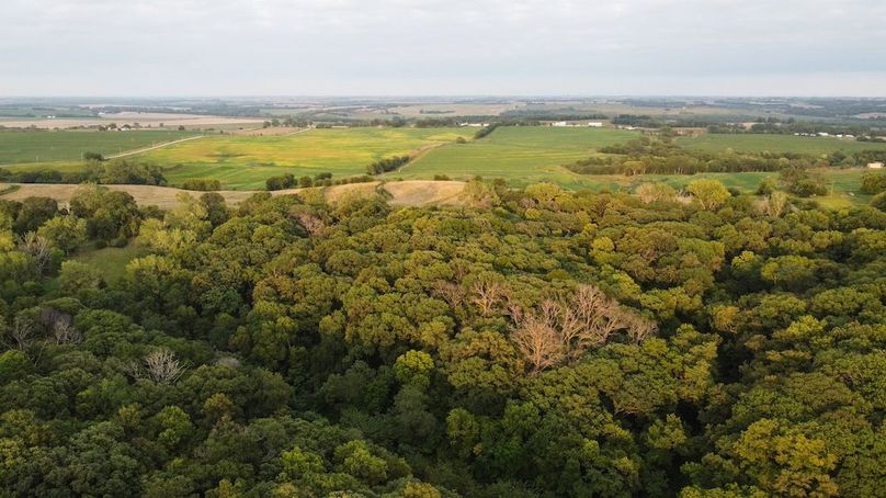 FREMONT CO IA 159.05_83