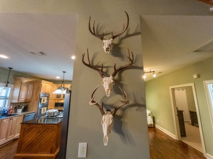 Claiborne Co - 274 - Marian-057