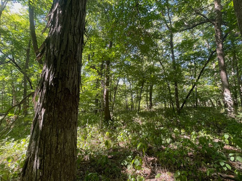 Grant 110 - 43 of 47