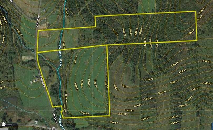 Chenango 104.88 Foster Rd Topo