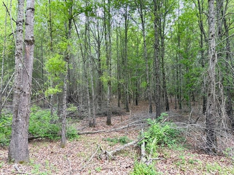 6FFC9172-36B1-4BF9-9CE9-C37436B54C2F_1_105_c