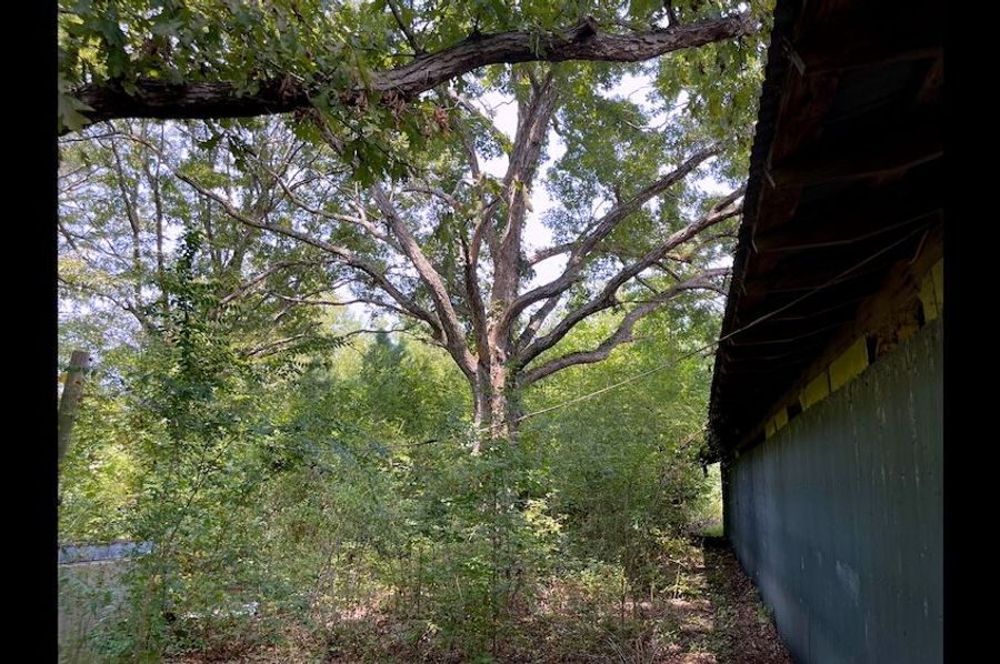 edgecombe_1.69.1