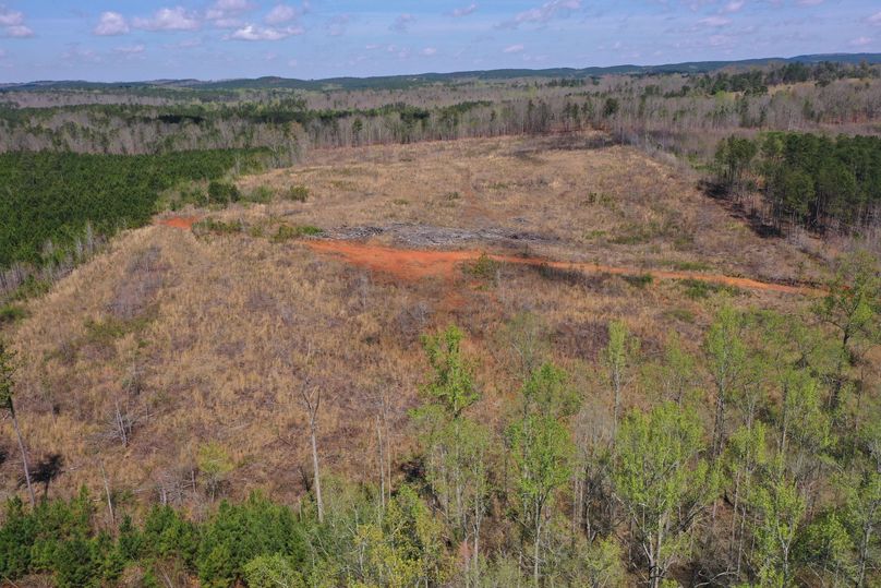 Copy of 200ftCardinal-3