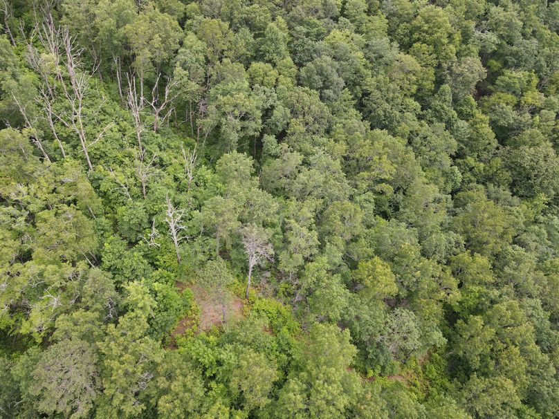 Swain 39 Tysinger-35