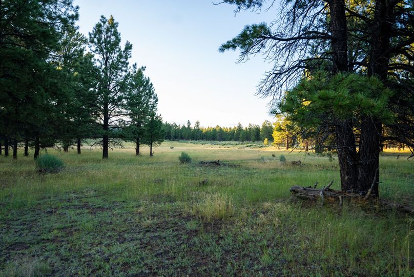 Cibola NM 13,053-05955