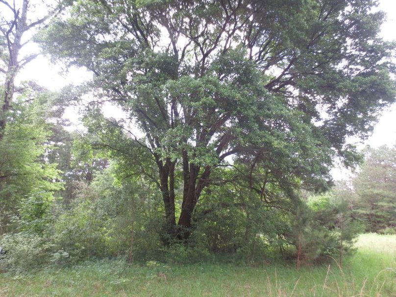 7FBA1A11-6984-42E6-8EEC-3E8FF462B67C_1_105_c