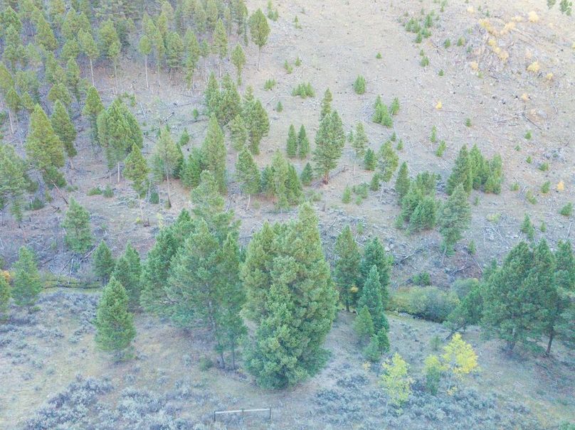 20240925-DJI_0135