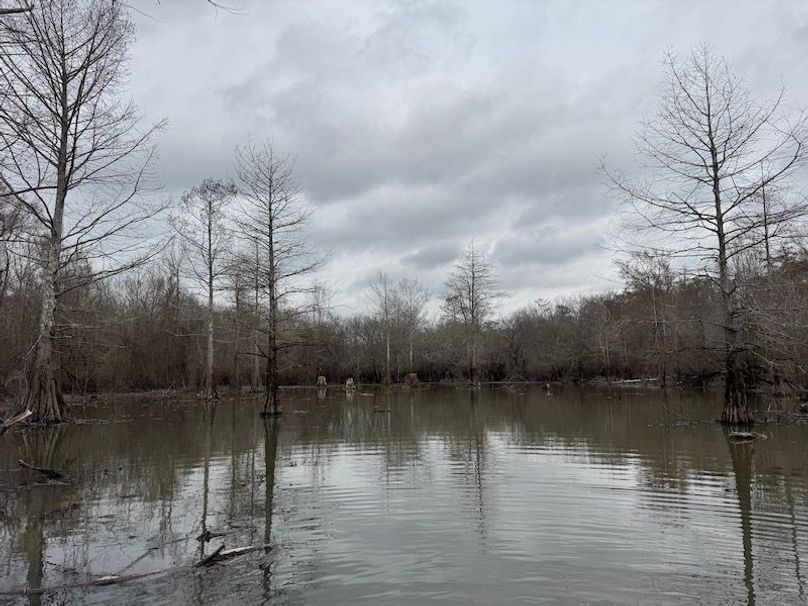 311 new20260217_0473