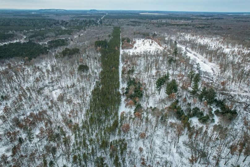 Adams 263.17, Hale -68