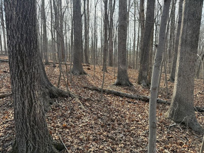 CD4EE864-EA89-4926-81CA-4DC6C1C43E82_1_102_o