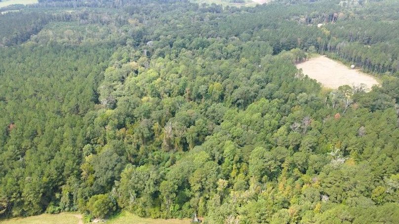 Mdji_fly_20250916_121316_713_1758042802881_photo