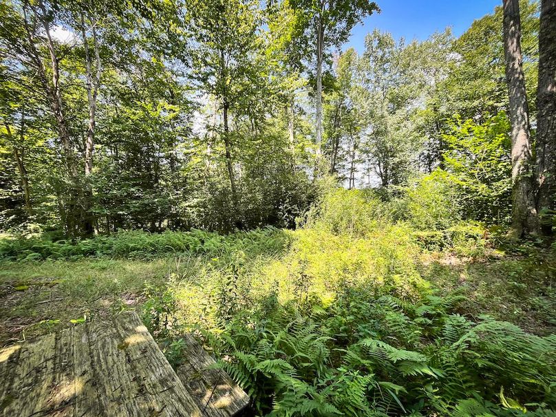 Oswego_100_Roof_Photos_53