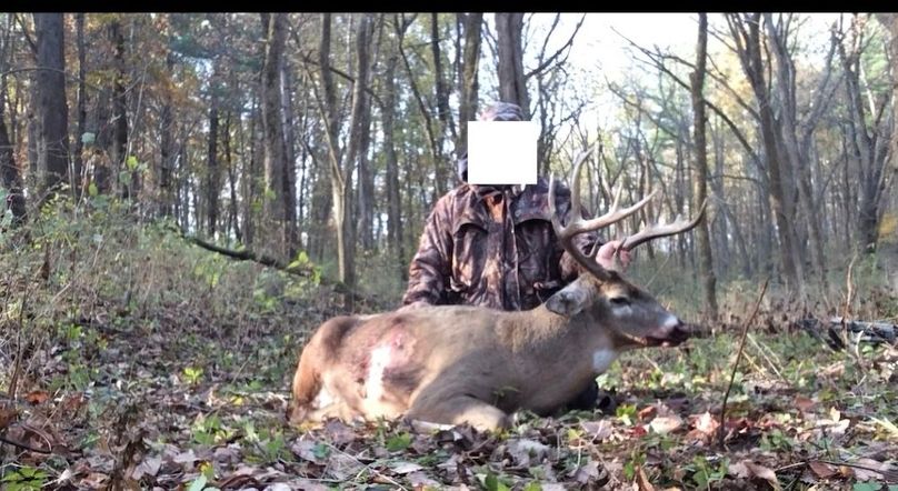 Screenshot_20240823_162857_Gallery