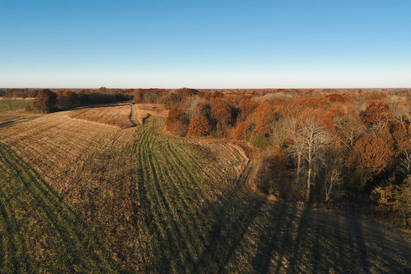 DJI_20251116074010_0001_D