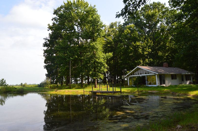 View across the pond