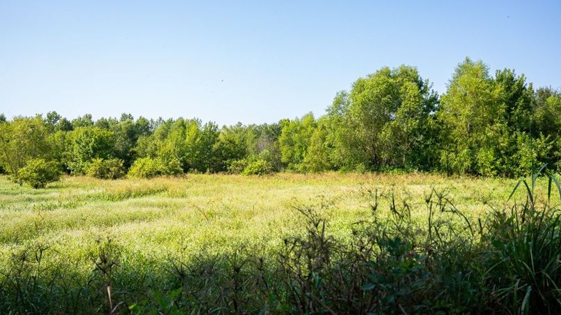 MadisonParLa1372-114