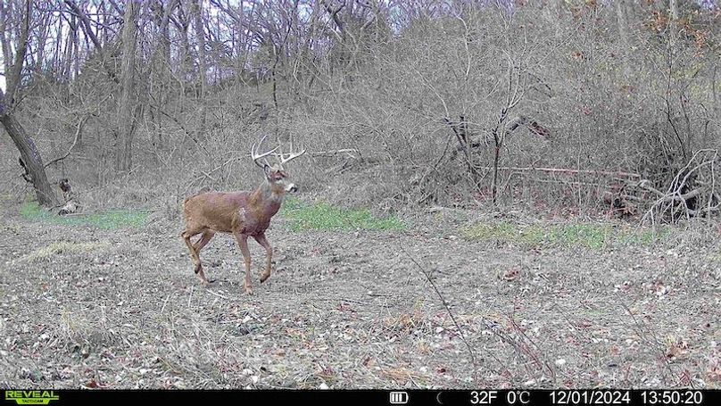 TRAIL CAM 2