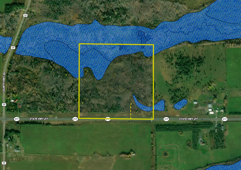 2425 HWY 217 Wetland Layer